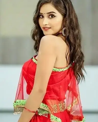 Escort In Shalimar Bagh